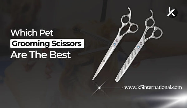 Which Pet Grooming Scissors Are The Best?