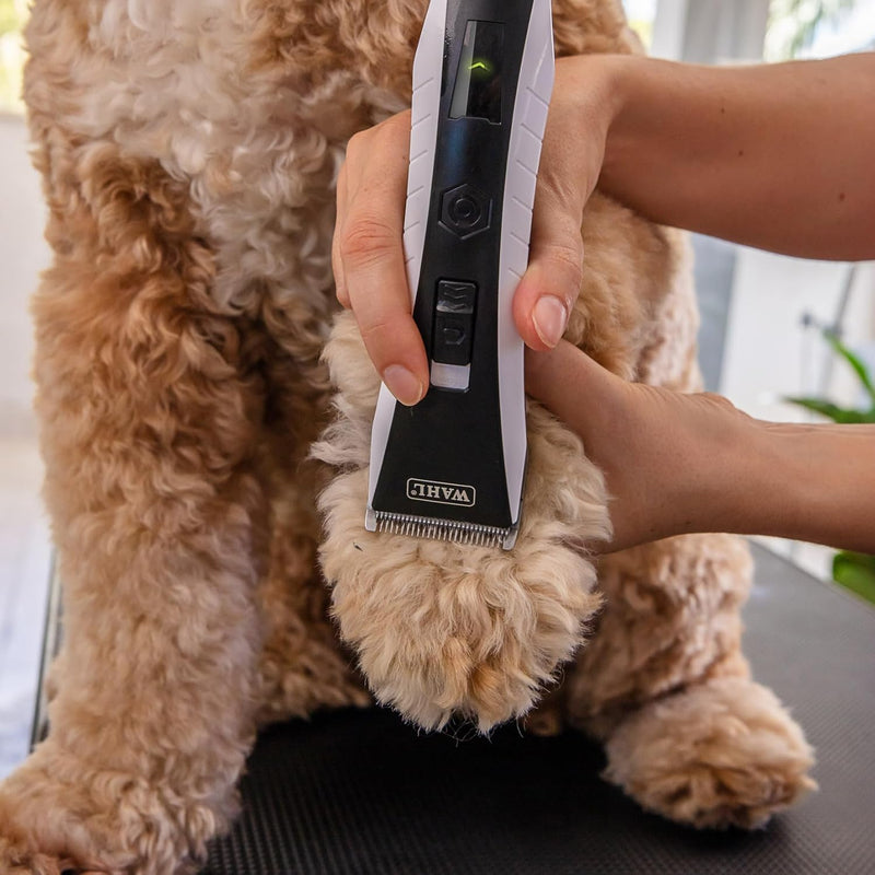 Lithium Ion Cord/Cordless Dog Hair Clipper with 4in1 Blade