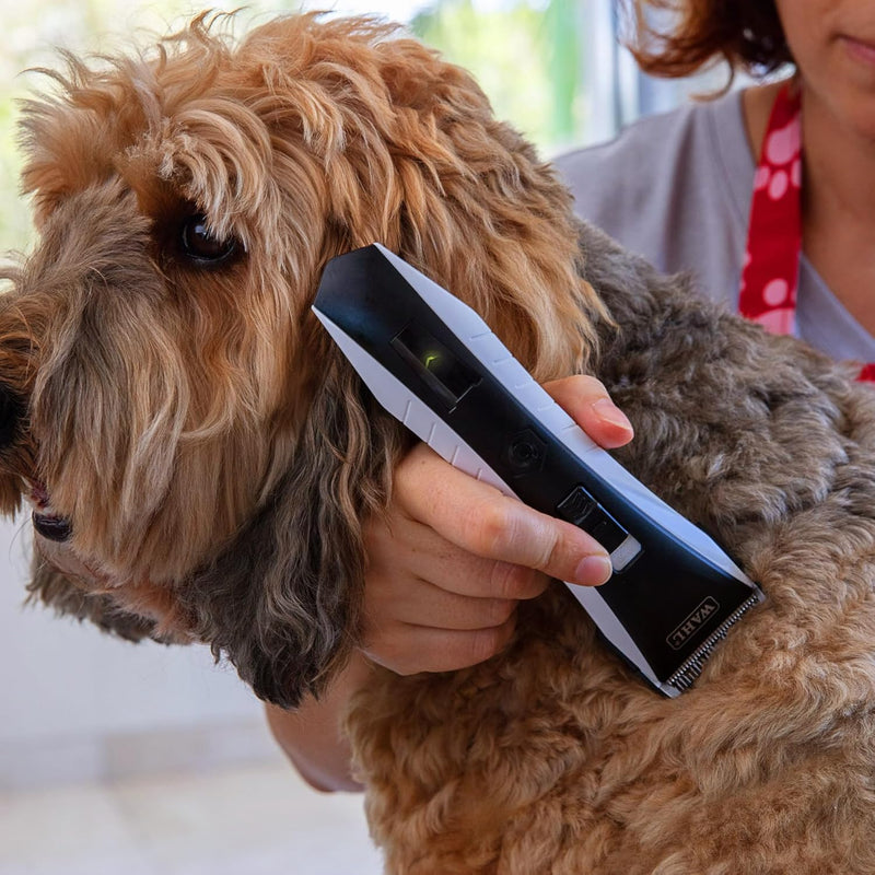 Lithium Ion Cord/Cordless Dog Hair Clipper with 4in1 Blade