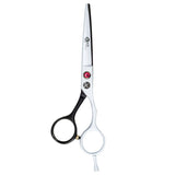 Hairdressing Shears