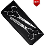 Dragon Silver Line Professional Hairdressing Scissors Set