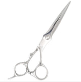 Hair Shears