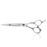 Professional Hairdressing Scissors