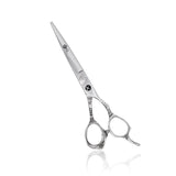 Professional Hairdressing Scissors