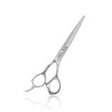 Professional Hairdressing Scissors