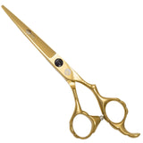 Professional Hairdressing Scissors